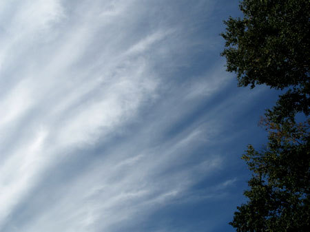 f:id:elmikamino:20071008215525j:image