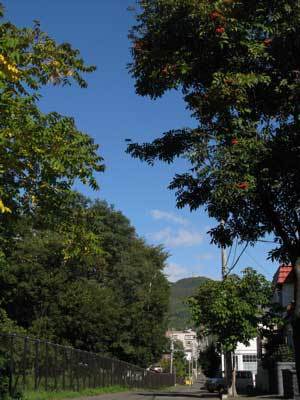 f:id:elmikamino:20071010145414j:image