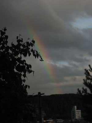 f:id:elmikamino:20071012111831j:image