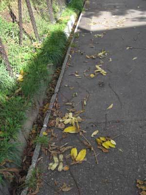 f:id:elmikamino:20071012112126j:image