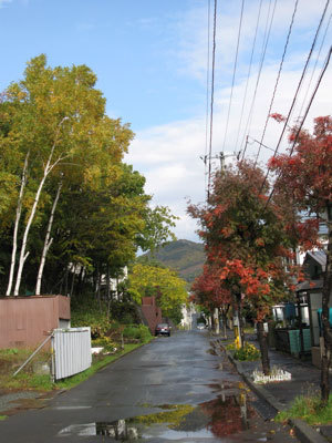 f:id:elmikamino:20071020134851j:image f:id:elmikamino:20071020134851j:image
