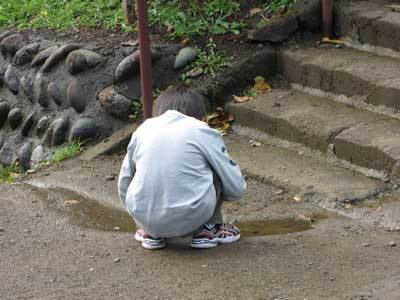 f:id:elmikamino:20071020135016j:image f:id:elmikamino:20071020135016j:image