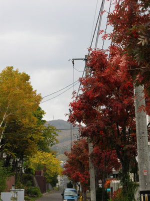 f:id:elmikamino:20071023004459j:image f:id:elmikamino:20071023004459j:image