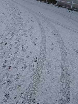 f:id:elmikamino:20071116122635j:image