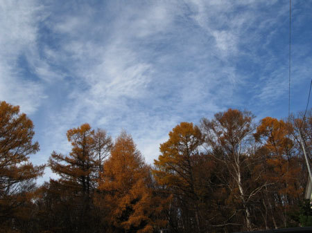 f:id:elmikamino:20071116122828j:image