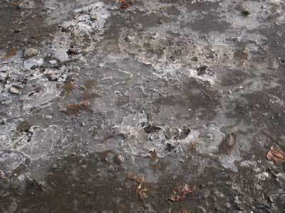 f:id:elmikamino:20071128111542j:image f:id:elmikamino:20071128111542j:image