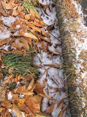 f:id:elmikamino:20071210123121j:image