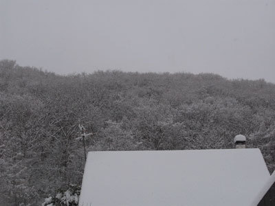 f:id:elmikamino:20071214194617j:image