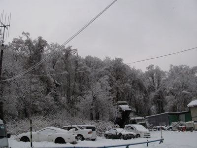 f:id:elmikamino:20071215101905j:image