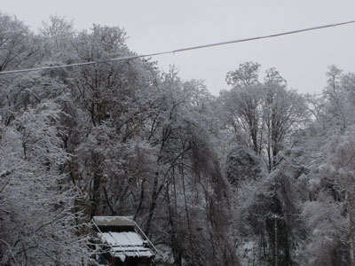 f:id:elmikamino:20071215101938j:image