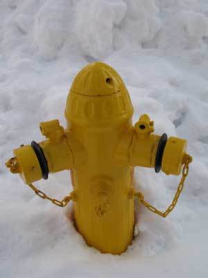 f:id:elmikamino:20071218111317j:image f:id:elmikamino:20071218111317j:image