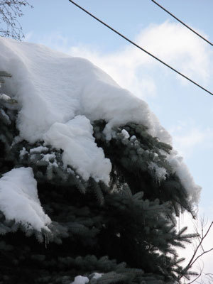 f:id:elmikamino:20071218111505j:image f:id:elmikamino:20071218111505j:image