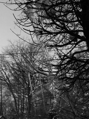 f:id:elmikamino:20071220105324j:image