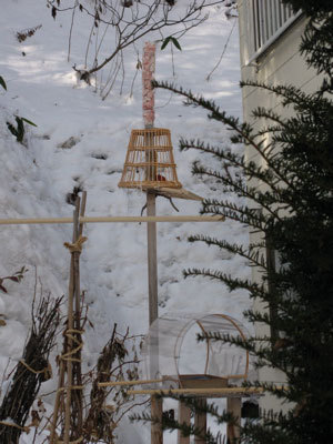 f:id:elmikamino:20071225105631j:image f:id:elmikamino:20071225105631j:image