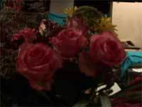 f:id:elmikamino:20071231183747j:image