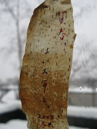 f:id:elmikamino:20080101072156j:image