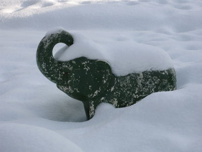 f:id:elmikamino:20080104123811j:image