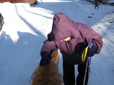 f:id:elmikamino:20080105115159j:image