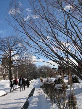 f:id:elmikamino:20080115132808j:image