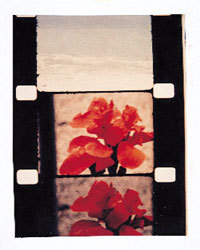 f:id:elmikamino:20080120211425j:image