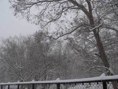 f:id:elmikamino:20080124132719j:image f:id:elmikamino:20080124132719j:image