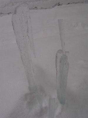 f:id:elmikamino:20080124132921j:image f:id:elmikamino:20080124132921j:image