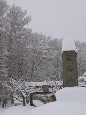 f:id:elmikamino:20080126075817j:image f:id:elmikamino:20080126075817j:image