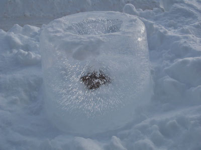 f:id:elmikamino:20080128102827j:image