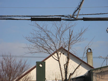 f:id:elmikamino:20080203141522j:image f:id:elmikamino:20080203141522j:image