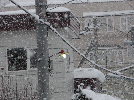 f:id:elmikamino:20080204102628j:image