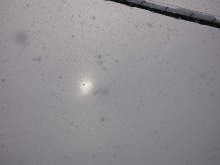 f:id:elmikamino:20080204103024j:image