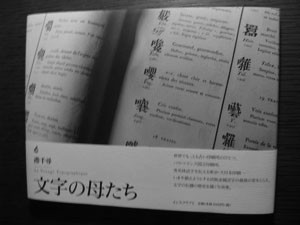 f:id:elmikamino:20080205214537j:image