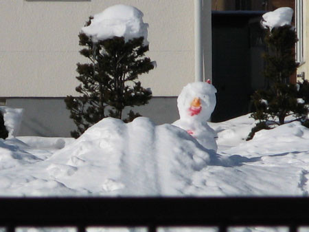 f:id:elmikamino:20080207122651j:image