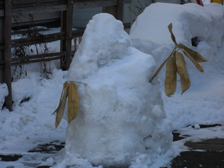 f:id:elmikamino:20080207122652j:image