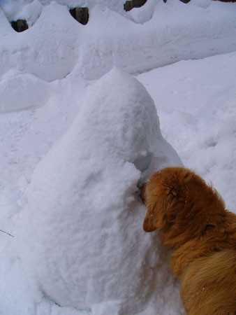 f:id:elmikamino:20080217115408j:image f:id:elmikamino:20080217115408j:image