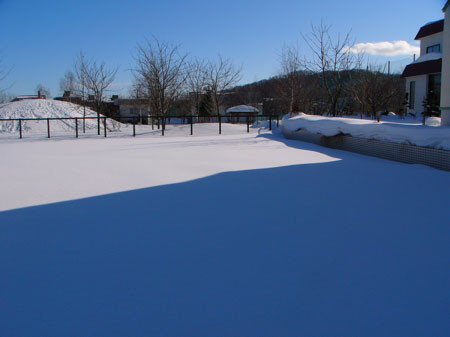 f:id:elmikamino:20080219223810j:image