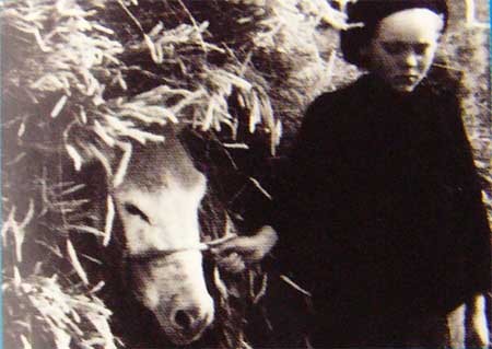 f:id:elmikamino:20080223190236j:image f:id:elmikamino:20080223190236j:image