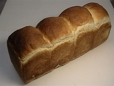 f:id:elmikamino:20080224234224j:image f:id:elmikamino:20080224234224j:image