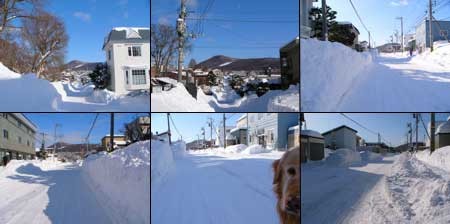 f:id:elmikamino:20080225220939j:image
