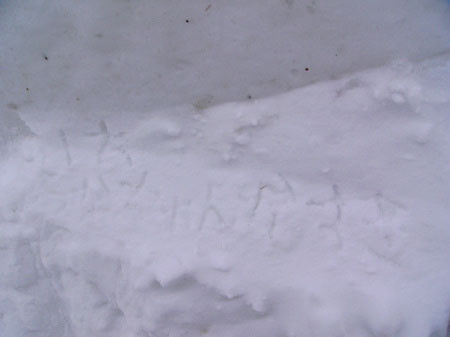 f:id:elmikamino:20080226220727j:image f:id:elmikamino:20080226220727j:image