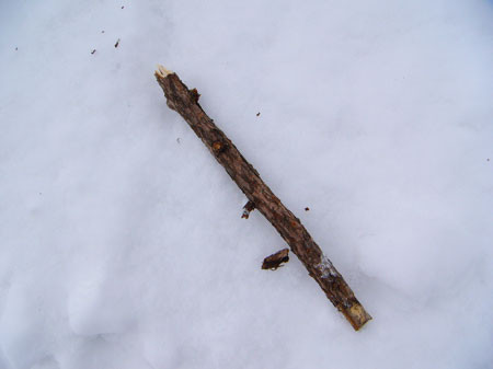 f:id:elmikamino:20080226220728j:image f:id:elmikamino:20080226220728j:image