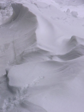 f:id:elmikamino:20080226220743j:image f:id:elmikamino:20080226220743j:image