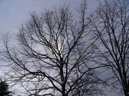 f:id:elmikamino:20080227203802j:image f:id:elmikamino:20080227203802j:image