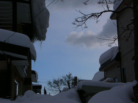 f:id:elmikamino:20080227203810j:image f:id:elmikamino:20080227203810j:image