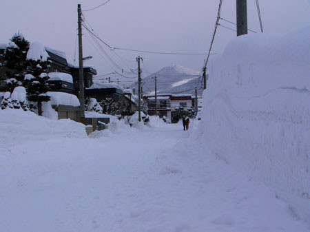 f:id:elmikamino:20080228210535j:image