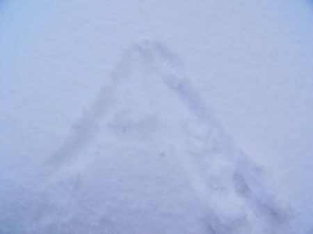 f:id:elmikamino:20080228210646j:image