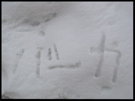 f:id:elmikamino:20080301235613j:image