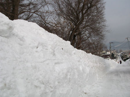 f:id:elmikamino:20080301235624j:image