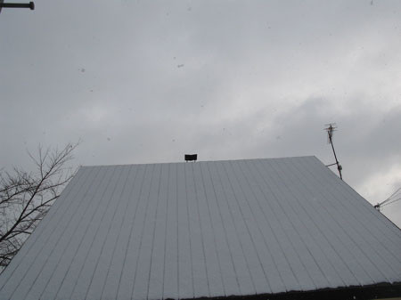 f:id:elmikamino:20080306174338j:image
