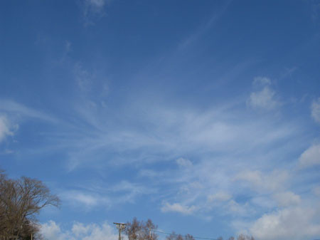 f:id:elmikamino:20080308104947j:image